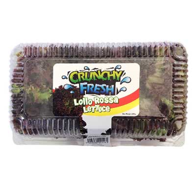 crunchy fresh salads products image