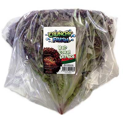 crunchy fresh salads products image