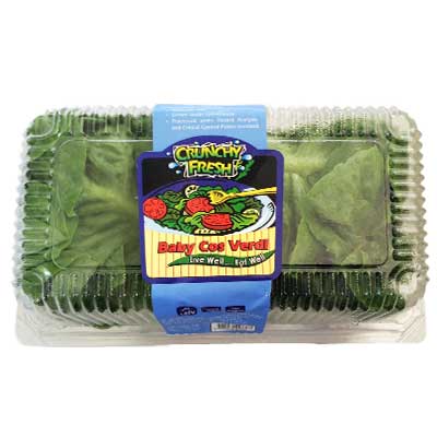 crunchy fresh salads products image