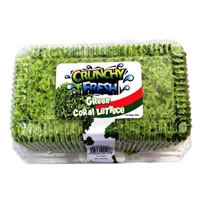 crunchy fresh salads products image