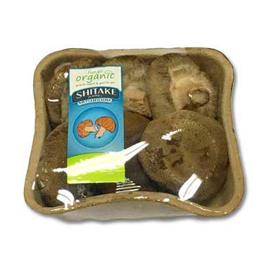 Brown Button Mushroom image