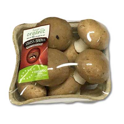 Brown Button Mushroom image
