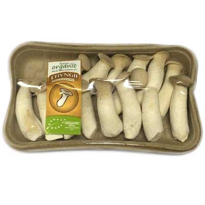 Brown Button Mushroom image