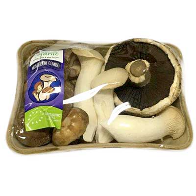 Brown Button Mushroom image