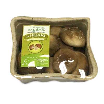 Brown Button Mushroom image